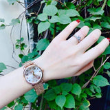 Coach Delancey White Dial Rose Gold Steel Strap Watch for Women - 14502811 Buy Now By Coach