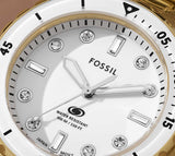 Fossil Blue Dive Three Hand White Dial Gold Steel Strap Watch For Women - ES5350 Buy Now By Fossil