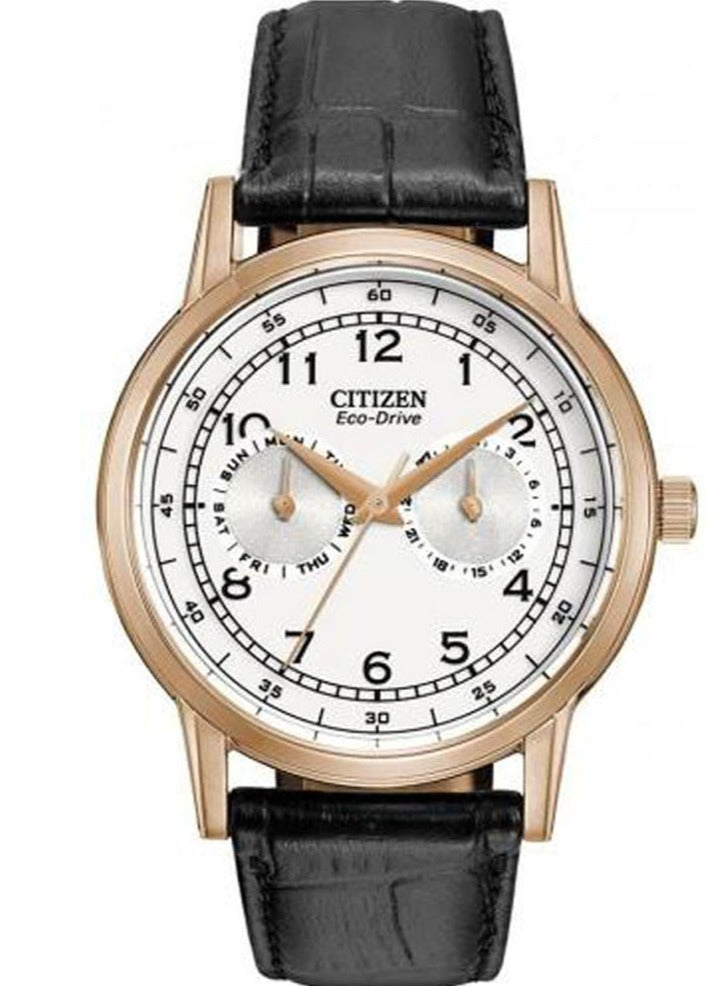Citizen Watch Eco Drive Day & Date White Dial Black Leather Strap Watch For Men - AO9003-16A Buy Now By Citizen