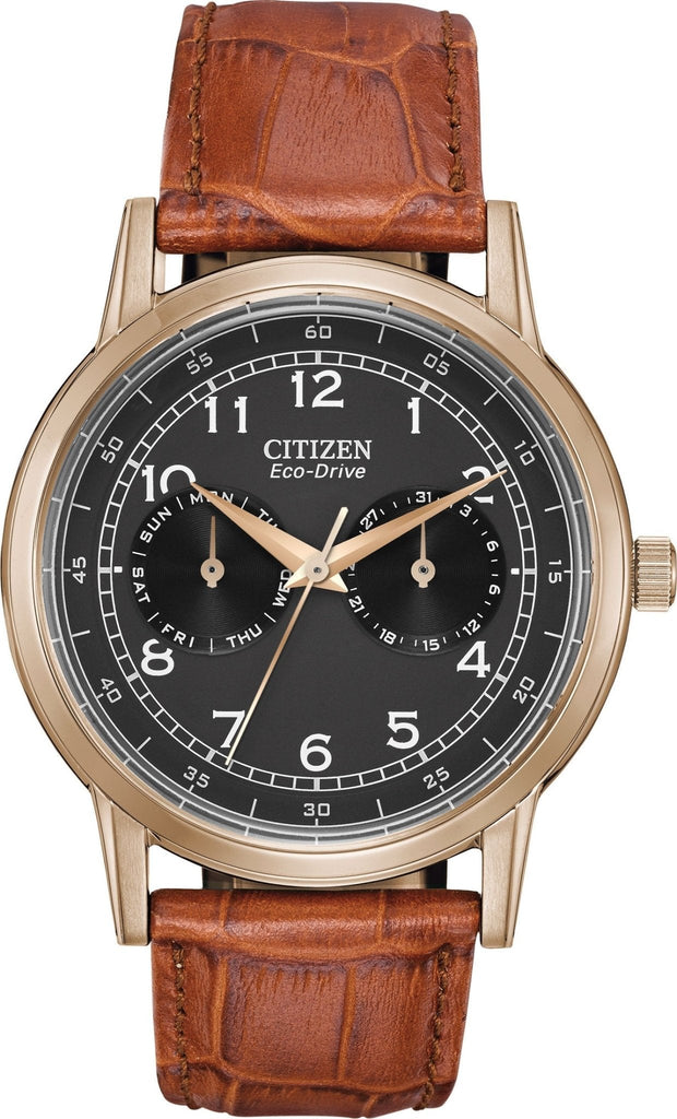 Citizen Eco Drive Multi Function Day & Date Black Dial Brown Leather Strap Watch For Men - AO9003-08E Buy Now By Citizen