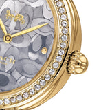 Coach Park Blue Dial Gold Steel Strap Watch for Women - 14503225 Buy Now By Coach