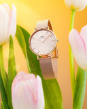 Daniel Wellington Petite Rose Gold Dial Rose Gold Mesh Bracelet Watch For Women - DW00100471 Buy Now By Daniel Wellington