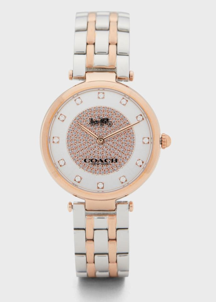 Coach Park Silver Dial Two Tone Steel Strap Watch for Women - 14503644 Buy Now By Coach