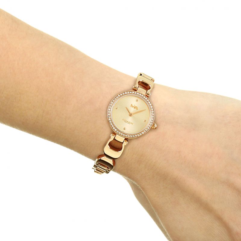 Coach Park Signature Rose Gold Dial Rose Gold Steel Strap Watch for Women - 14503172 Buy Now By Coach