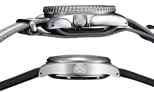 Seiko 5 Sports x Peanuts Surfboard Snoopy Limited Edition White Dial Two Tone NATO Strap Watch For Men - SRPK25K1 Buy Now By Seiko