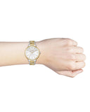 Hugo Boss Signature Silver Dial Two Tone Steel Strap Watch for Women - 1502568 Buy Now By Hugo Boss