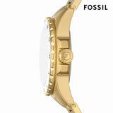 Fossil Blue Dive Three Hand White Dial Gold Steel Strap Watch For Women - ES5350 Buy Now By Fossil