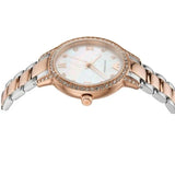 Emporio Armani Cleo Mother of Pearl Dial Two Tone Steel Strap Watch For Women - AR11499 Buy Now By Emporio Armani