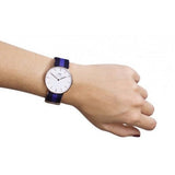 Daniel Wellington Classic Swansea White Dial Two Tone Nylon Strap Watch For Women - 0504DW Buy Now By Daniel Wellington
