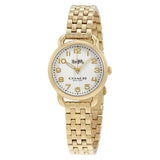 Coach Delancey White Dial Gold Steel Strap Watch for Women - 14502241 Buy Now By Coach