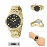 Coach Delancey Black Dial Gold Steel Strap Watch for Women - 14502813 Buy Now By Coach