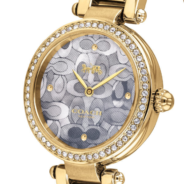 Coach Park Blue Dial Gold Steel Strap Watch for Women - 14503225 Buy Now By Coach