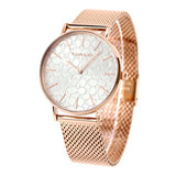 Coach Perry Silver Dial Rose Gold Mesh Bracelet Watch for Women - 14503386 Buy Now By Coach