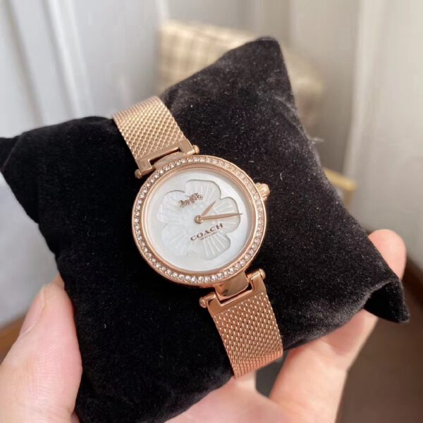Coach Park Mother of Pearl Dial Rose Gold Mesh Bracelet Watch for Women - 14503511 Buy Now By Coach