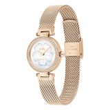 Coach Park Mother of Pearl Dial Rose Gold Mesh Bracelet Watch for Women - 14503511 Buy Now By Coach