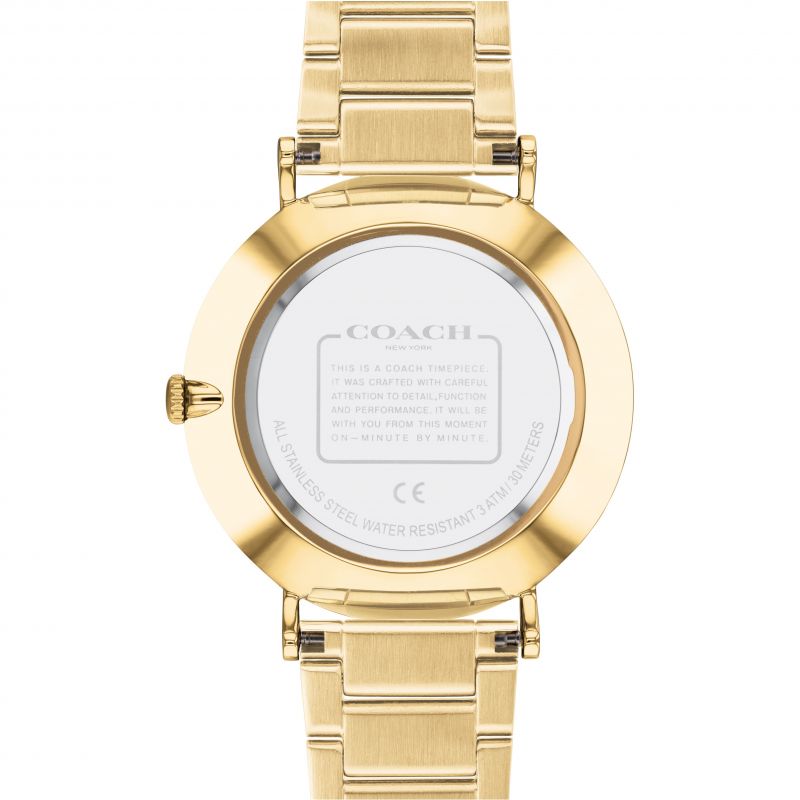 Coach Charles Silver Dial Gold Steel Strap Watch for Men - 14602430 Buy Now By Coach