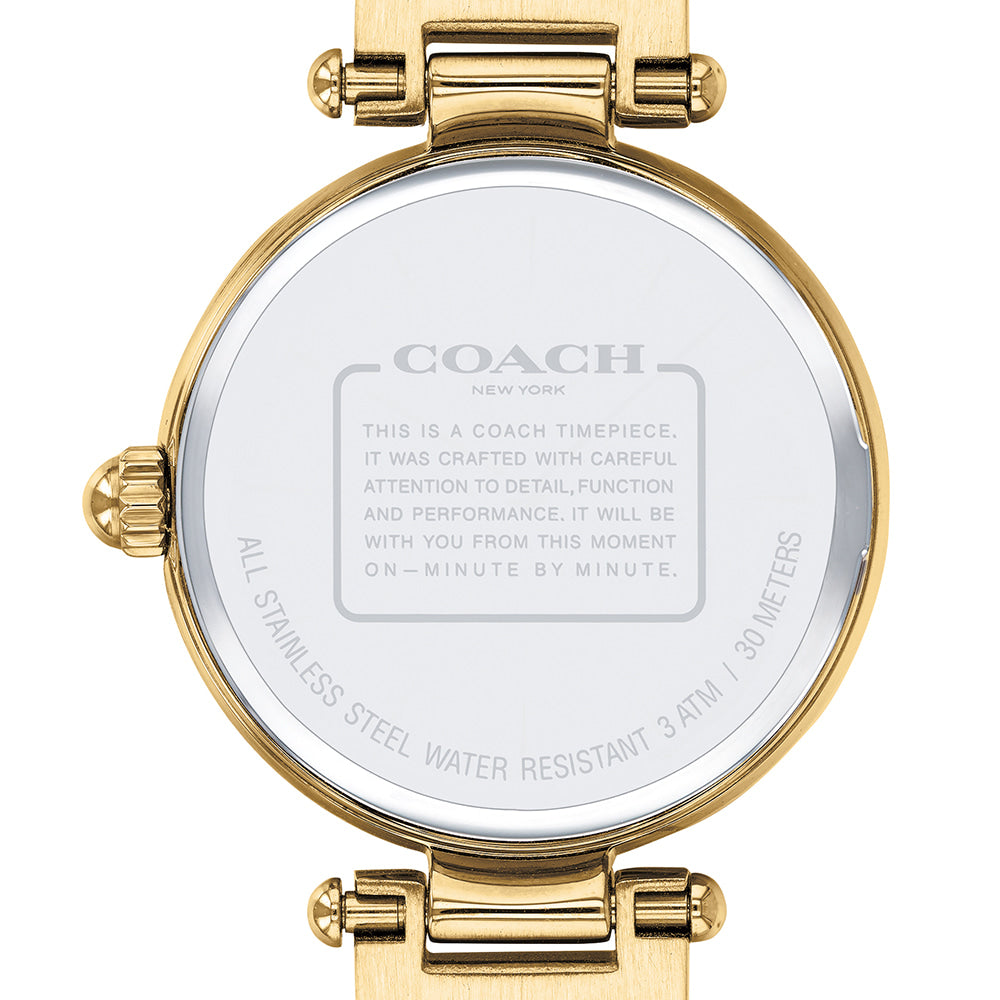 Coach Park Blue Dial Gold Steel Strap Watch for Women - 14503225 Buy Now By Coach