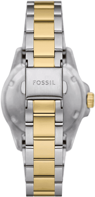 Fossil Blue Dive Three Hand Black Dial Two Tone Steel Strap Watch For Women - ES5349 Buy Now By Fossil