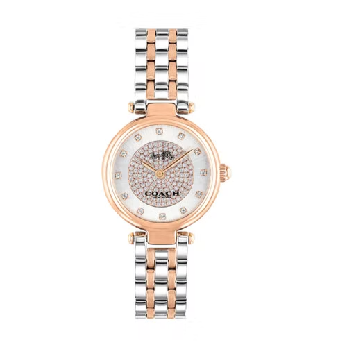 Coach Park Silver Dial Two Tone Steel Strap Watch for Women - 14503642 Buy Now By Coach