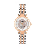Coach Park Silver Dial Two Tone Steel Strap Watch for Women - 14503642 Buy Now By Coach