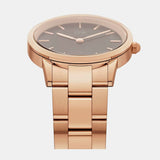 Daniel Wellington Iconic Link Black Dial Rose Gold Steel Strap Watch for Women - DW00100210 Buy Now By Daniel Wellington