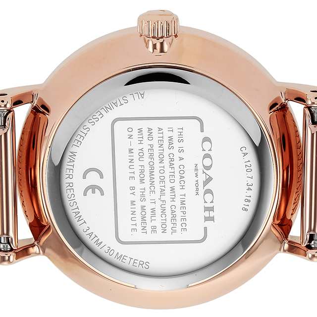 Coach Perry Silver Dial Rose Gold Mesh Bracelet Watch for Women - 14503386 Buy Now By Coach