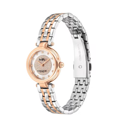 Coach Park Silver Dial Two Tone Steel Strap Watch for Women - 14503642 Buy Now By Coach