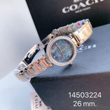 Coach Park Mother of Pearl Blue Dial Silver Steel Strap Watch for Women - 14503224 Buy Now By Coach
