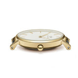Daniel Wellington Classic Petite Evergold White Dial Gold Mesh Bracelet Watch For Women - DW00100350 Buy Now By Daniel Wellington