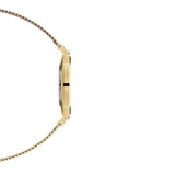 Daniel Wellington Classic Petite Evergold White Dial Gold Mesh Bracelet Watch For Women - DW00100346 Buy Now By Daniel Wellington