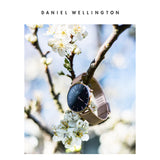 Daniel Wellington Classic Petite Melrose Black Dial Rose Gold Mesh Bracelet Watch For Women - DW00100217 Buy Now By Daniel Wellington