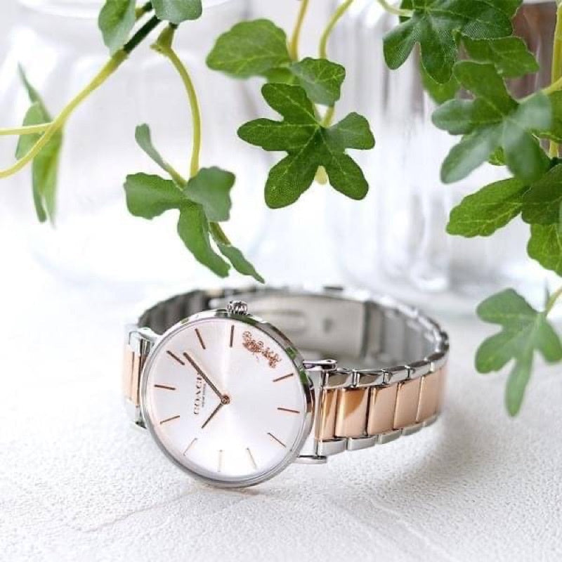 Coach Perry Silver Dial Two Tone Steel Strap Watch for Women - 14503346 Buy Now By Coach