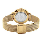 Daniel Wellington Petite Emerald Green Dial Gold Mesh Strap Watch For Women - DW00100480 Buy Now By Daniel Wellington