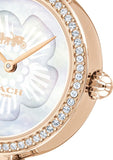 Coach Park Mother of Pearl Dial Rose Gold Mesh Bracelet Watch for Women - 14503511 Buy Now By Coach