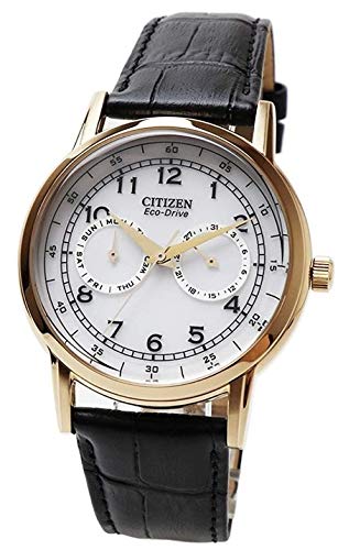 Citizen Watch Eco Drive Day & Date White Dial Black Leather Strap Watch For Men - AO9003-16A Buy Now By Citizen