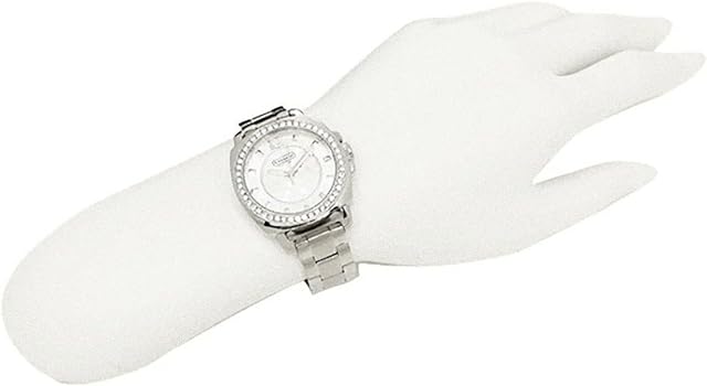 Coach Mini Boyfriend Diamonds Silver Dial Silver Steel Strap Watch for Women - 14501699 Buy Now By Coach