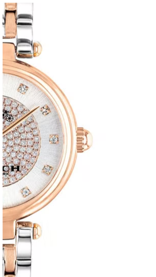 Coach Park Silver Dial Two Tone Steel Strap Watch for Women - 14503642 Buy Now By Coach