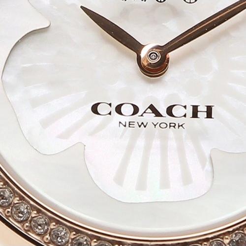 Coach Park Mother of Pearl Dial Rose Gold Mesh Bracelet Watch for Women - 14503511 Buy Now By Coach
