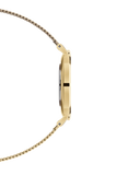 Daniel Wellington Petite Evergold Black Dial Gold Mesh Strap Watch For Women - DW00100345 Buy Now By Daniel Wellington