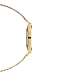 Daniel Wellington Classic Petite Evergold White Dial Gold Mesh Bracelet Watch For Women - DW00100350 Buy Now By Daniel Wellington