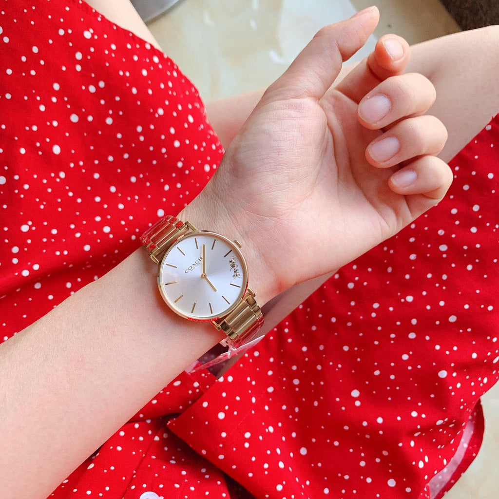 Coach Business Analog Silver Dial Two Tone Steel Strap Watch for Men - 14602432 Buy Now By Coach