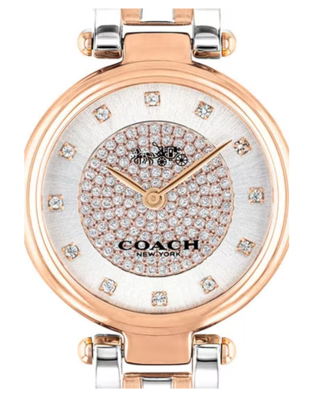 Coach Park Silver Dial Two Tone Steel Strap Watch for Women - 14503642 Buy Now By Coach