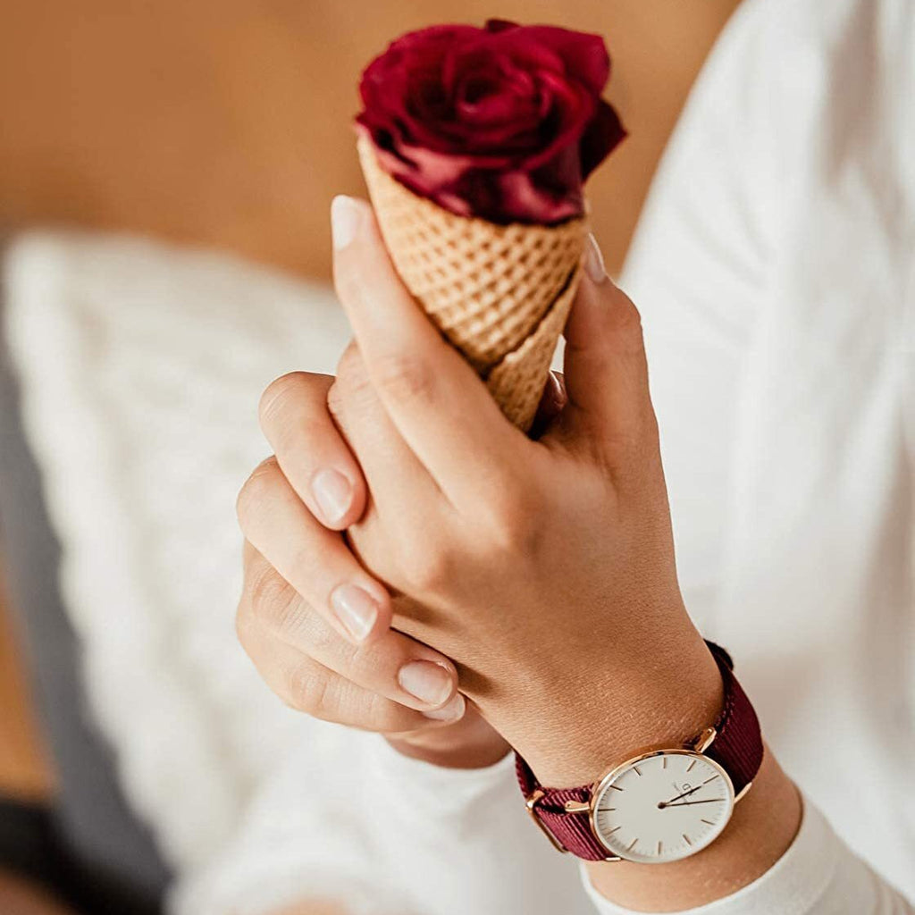 Daniel Wellington Classic Roselyn White Dial Red NATO Strap Watch For Women - DW00100271 Buy Now By Daniel Wellington