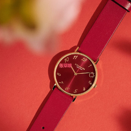 Coach Perry Red Dial Red Leather Strap Watch for Women - 14503722 Buy Now By Coach