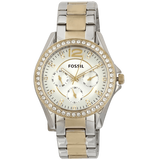 Fossil Riley White Dial Two Tone Steel Strap Watch for Women - ES3204 Buy Now By Fossil