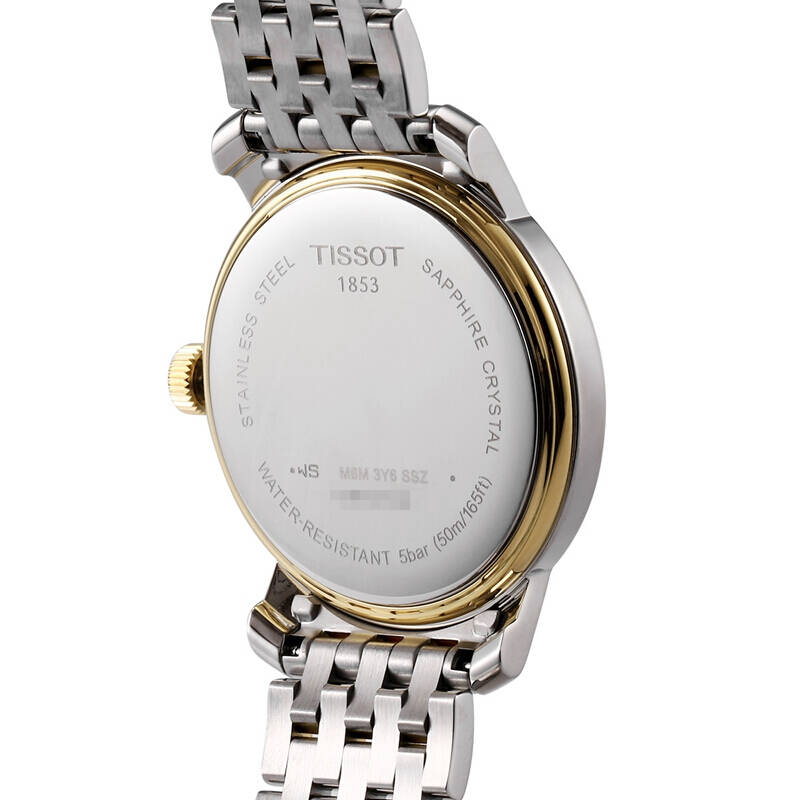 Tissot T Classic Bridgeport Silver Dial Two Tone Mesh Bracelet Watch For Men - T097.410.22.038.00 Buy Now By Tissot