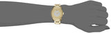 Movado Bold Pave Gold Dial Gold Steel Strap Watch For Women - 3600255 Buy Now By Movado