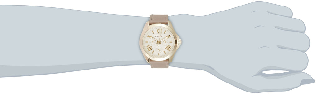 Fossil Cecile Champagne Dial Grey Leather Strap Watch for Women - AM4529 Buy Now By Fossil