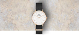 Daniel Wellington Classic Petite Cornwall White Dial Green NATO Strap Watch For Women - DW00100253 Buy Now By Daniel Wellington