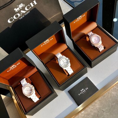 Coach Preston White Dial White Steel Strap Watch for Women - 14503464 Buy Now By Coach